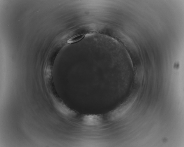 X0000101980137200808011108