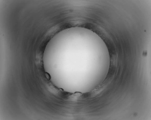 X0000101980138200808011108