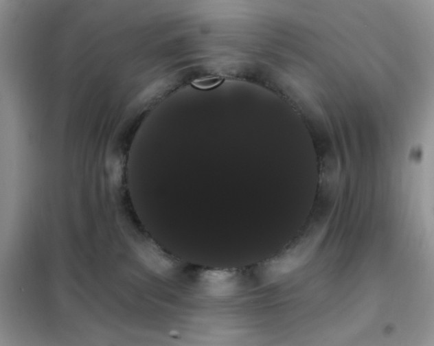 X0000101980139200808011108