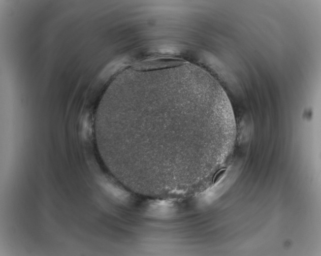 X0000101980140200808011108