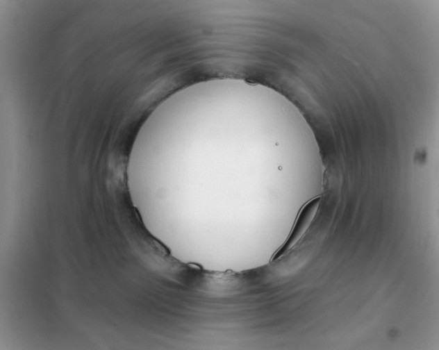 X0000101980141200808011108