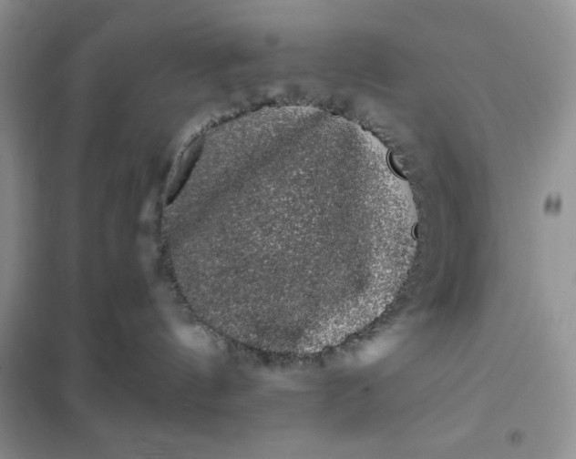 X0000101980144200808011108