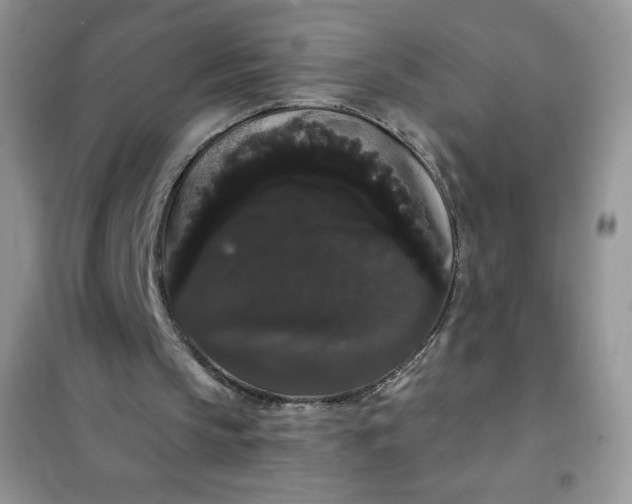 X0000101980145200808011107