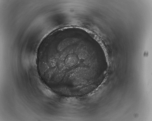 X0000101980146200808011107