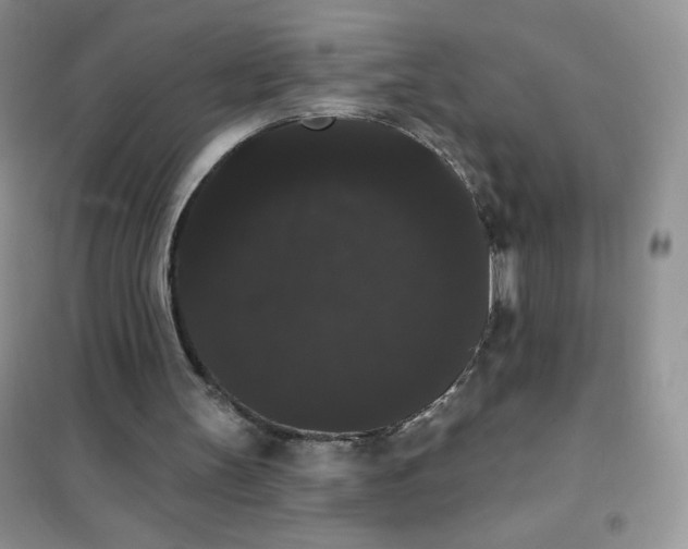 X0000101980147200808011107