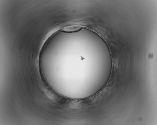 X0000101980148200808011107