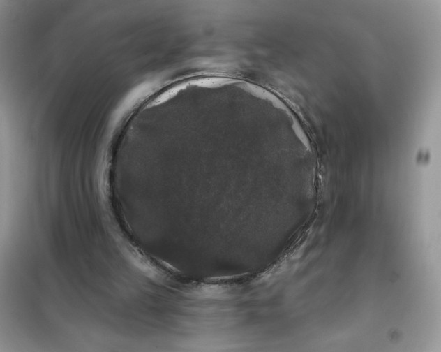 X0000101980149200808011107