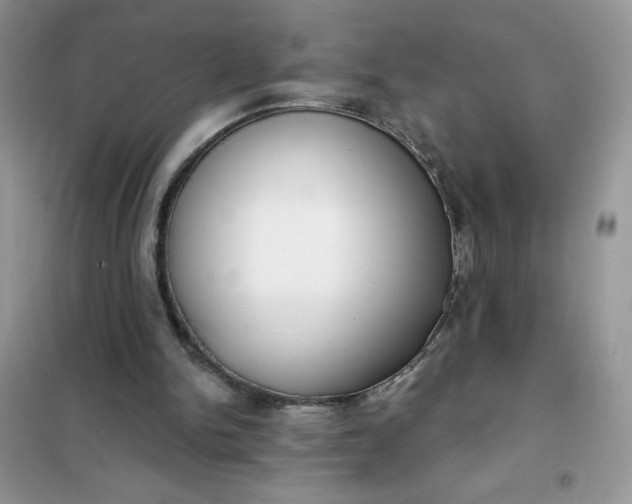 X0000101980150200808011108