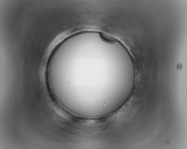 X0000101980151200808011108