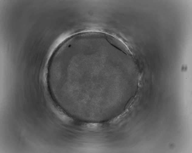 X0000101980152200808011108