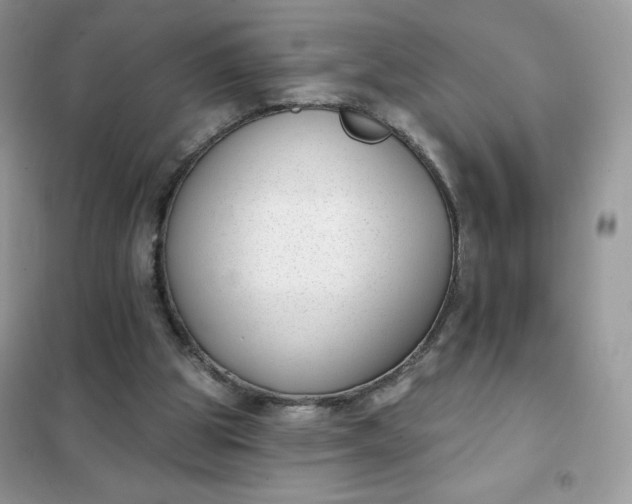 X0000101980153200808011108