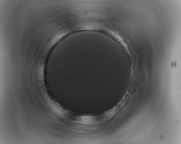 X0000101980154200808011108