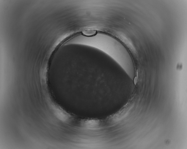 X0000101980156200808011108