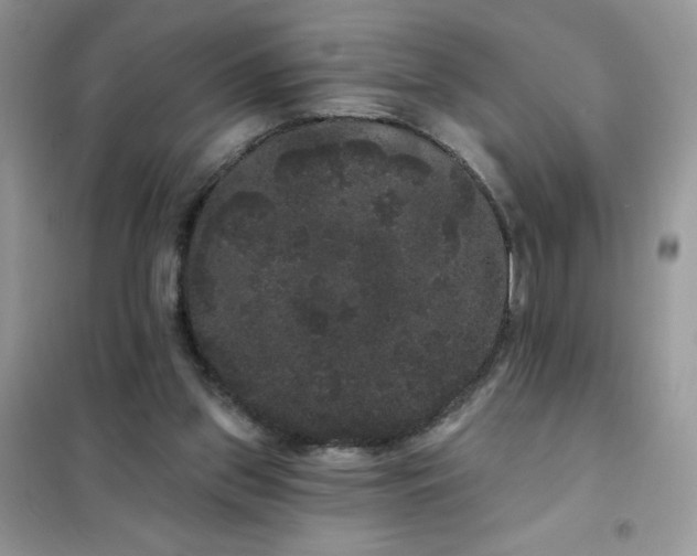 X0000101980157200808011108