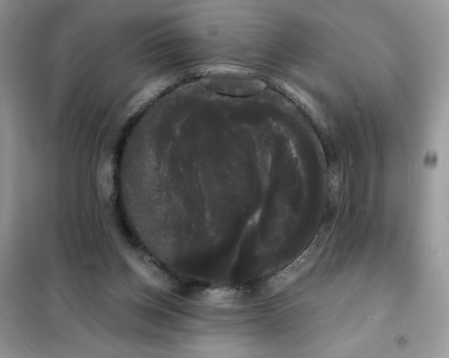 X0000101980158200808011108