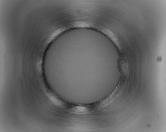 X0000101980159200808011108