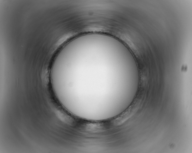 X0000101980160200808011108