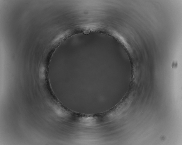 X0000101980161200808011108