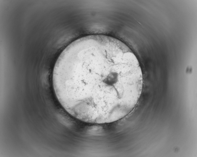 X0000101980162200808011108