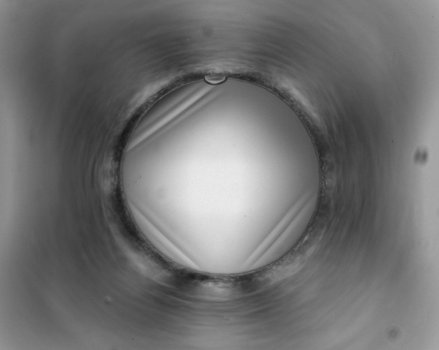 X0000101980164200808011108