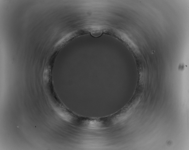 X0000101980165200808011108