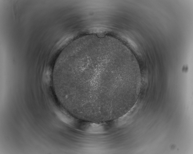 X0000101980166200808011108