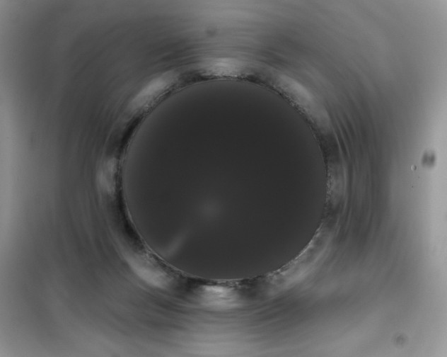 X0000101980167200808011108