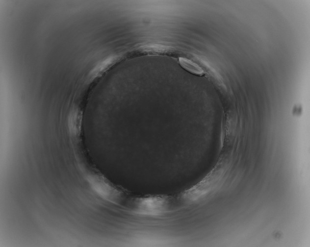 X0000101980168200808011108