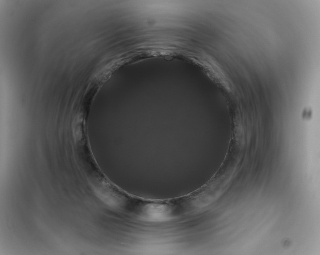 X0000101980169200808011108