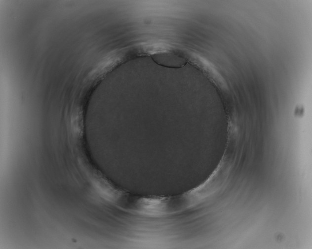 X0000101980170200808011108