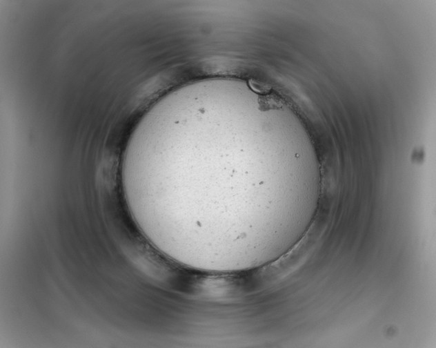 X0000101980171200808011108