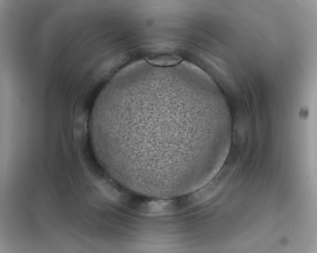 X0000101980172200808011108