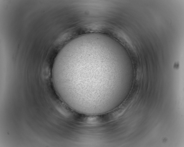 X0000101980173200808011108