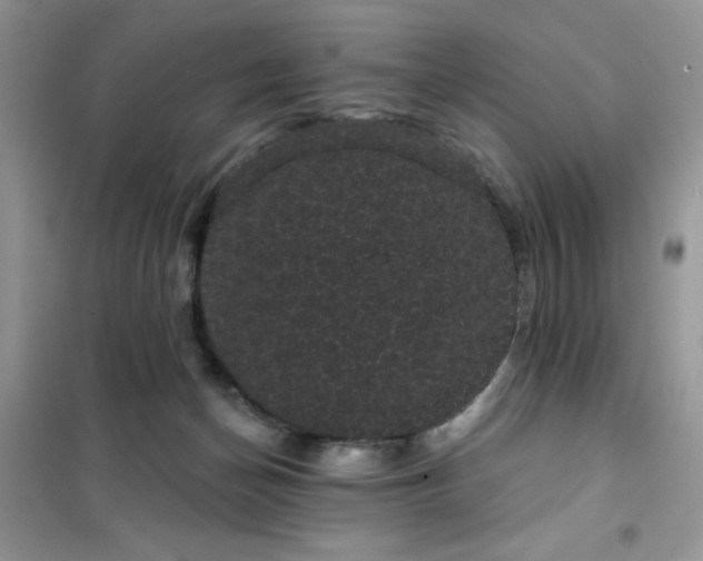 X0000101980174200808011108