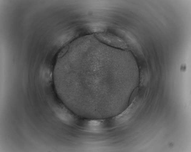 X0000101980176200808011108