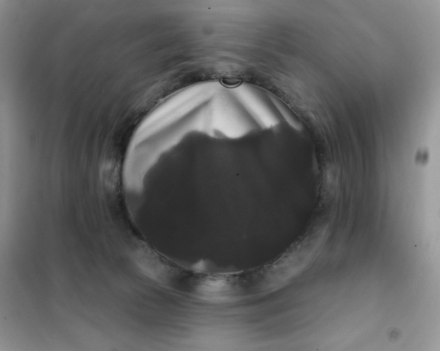 X0000101980177200808011108