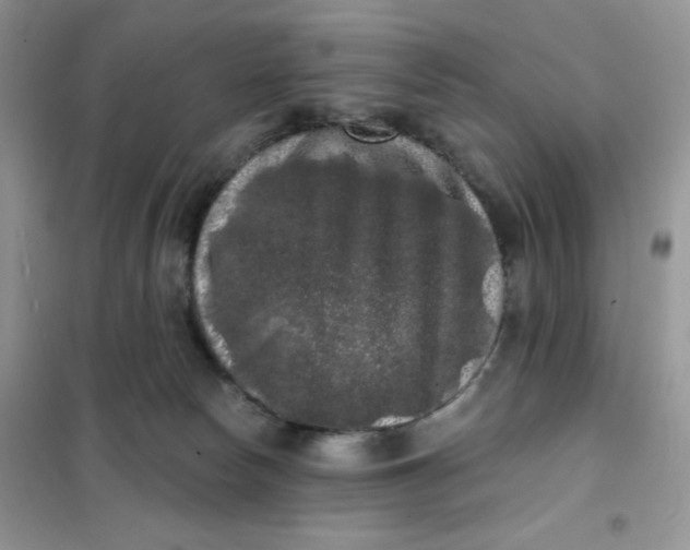 X0000101980178200808011108