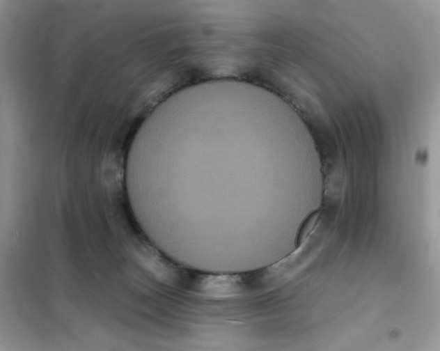 X0000101980179200808011108