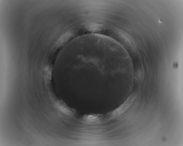 X0000101980180200808011108