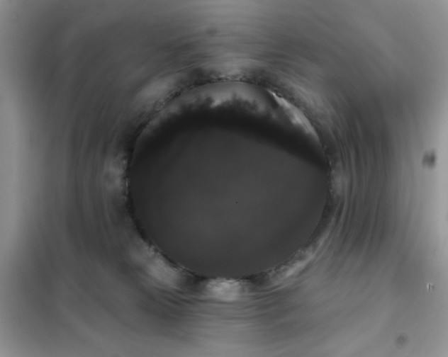 X0000101980181200808011108