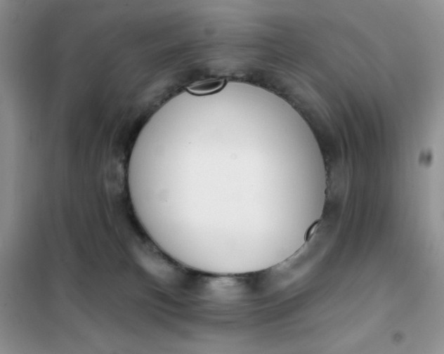 X0000101980183200808011108