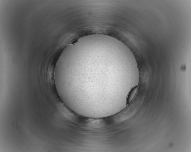 X0000101980185200808011108