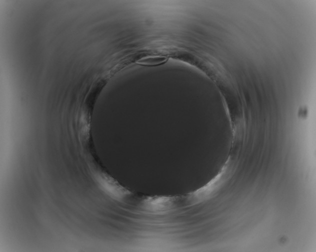 X0000101980186200808011108