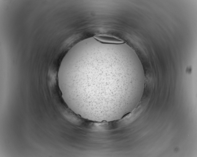 X0000101980188200808011108