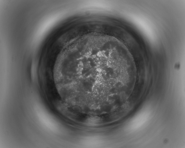 X0000101980189200808011108