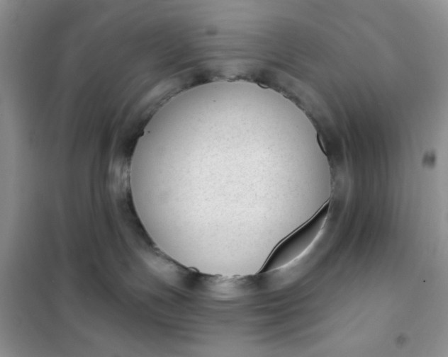 X0000101980191200808011108