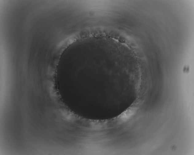 X0000101980192200808011108