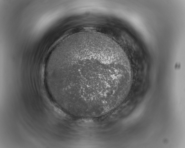 X0000101980194200808011107