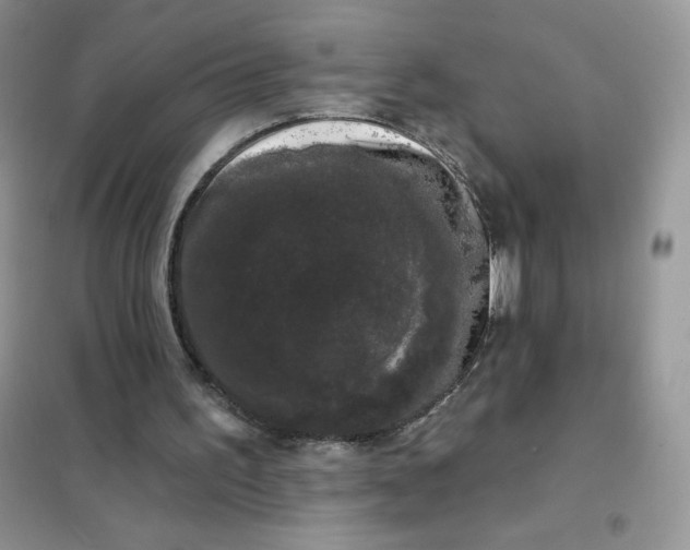 X0000101980195200808011107