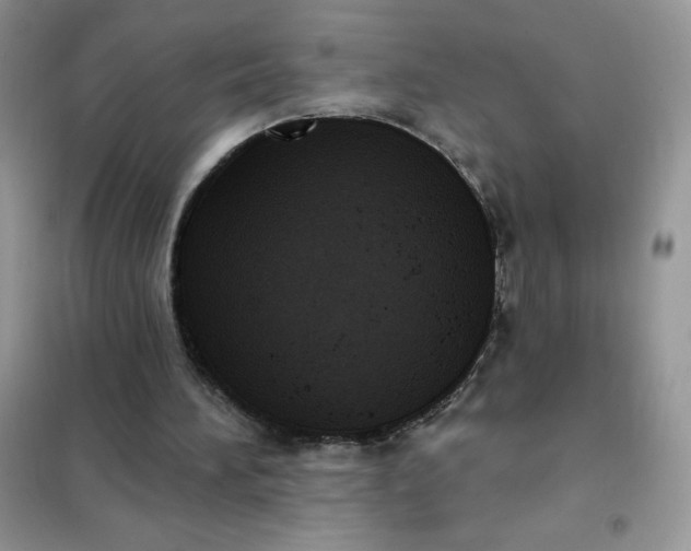 X0000101980196200808011107